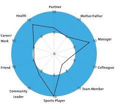 Wheel of Life work:life balance