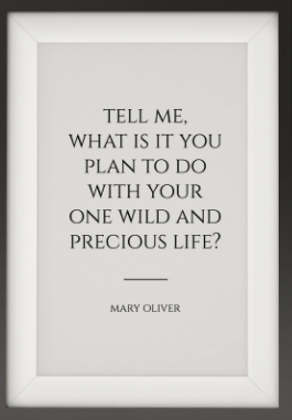 Travel writing quote
